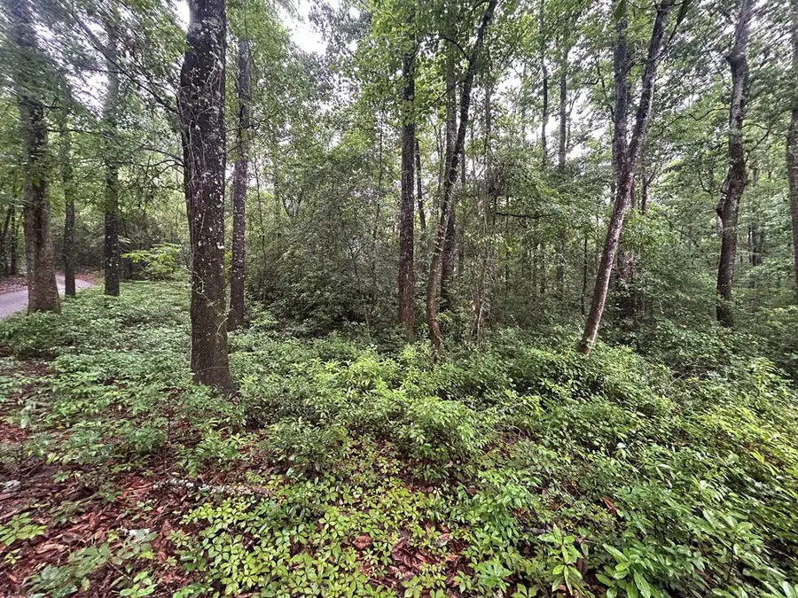 0 Holmes Rd, Newton, AL 36352 - Image #3