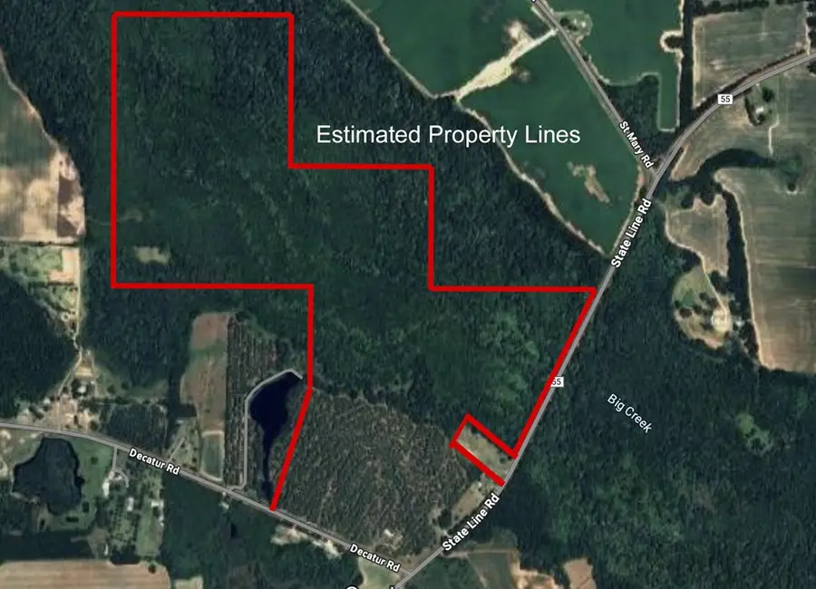 0 State Line Rd & Decatur Rd, Cottonwood, AL 36320 - Image #2