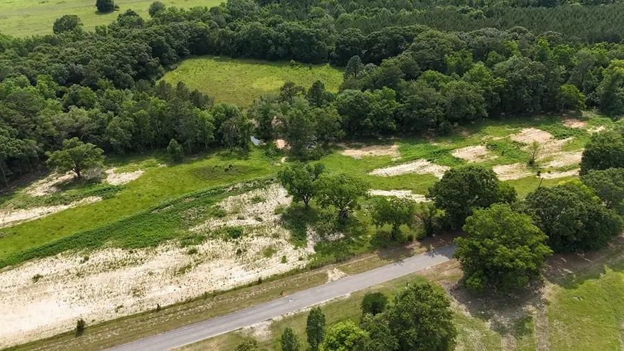 Lot 3 Block "B" County Road 20, Headland, AL 36345 - Image #2