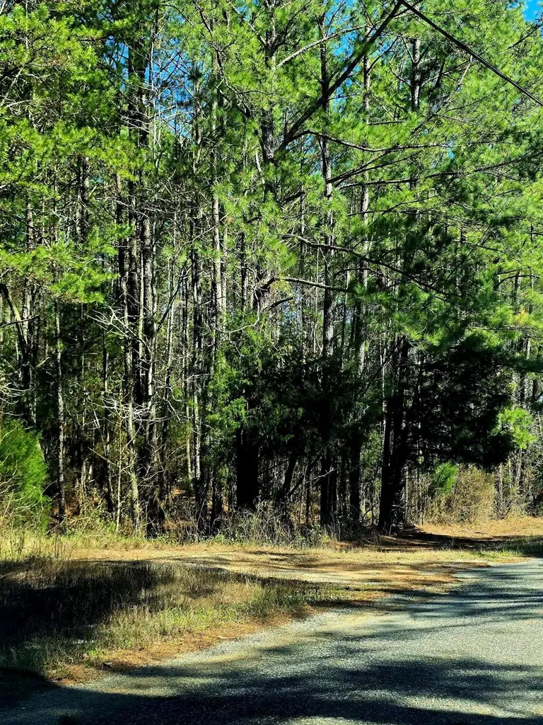 Address Withheld By Seller, Ozark, AL 36360 - Image #2