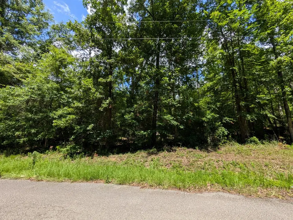 Lot 507 Lakeshore Dr, Abbeville, AL 36310 - Image #1