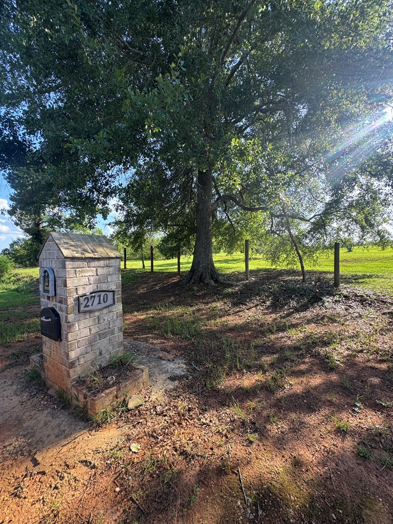 2710 County Rd 14, Newville, AL 36353 - Image #2