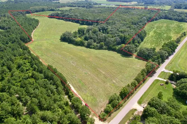 00 TBD E County Road 4, Hartford, AL 36344