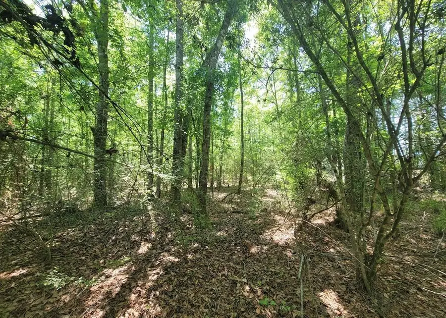 0 S State Highway 27, Geneva, AL 36340 - Image #2