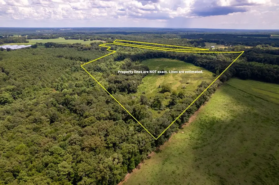 0 County Road 99, Chancellor, AL 36316 - Image #3