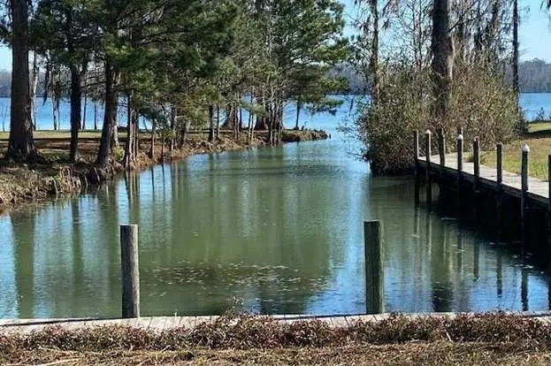 Lot 9 SW Shore Ave, Florala, AL 36442 - Image #2