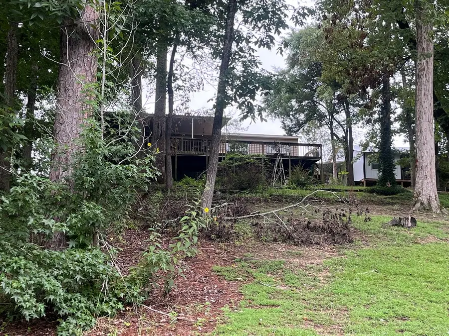 1385 Calhoun Drive, Abbeville, AL 36310 - Image #3