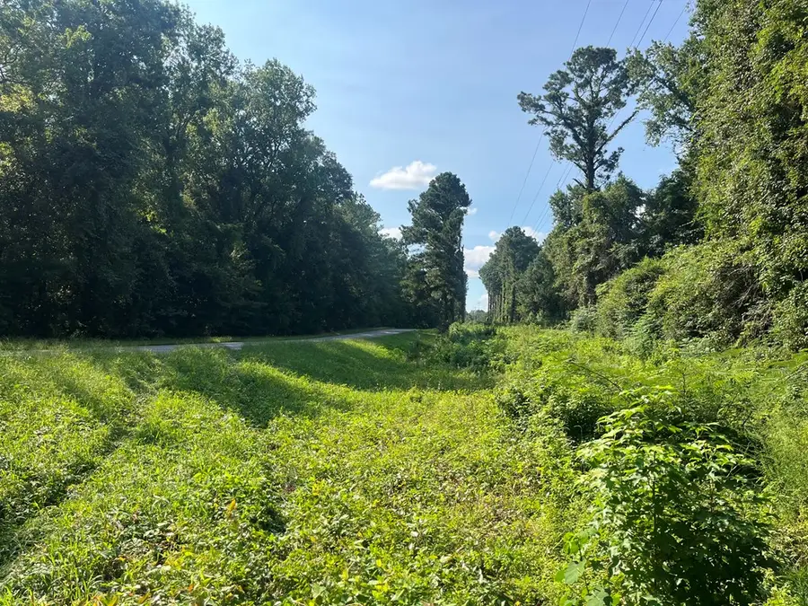 TBD County Road 68, Clopton, AL 36310 - Image #2