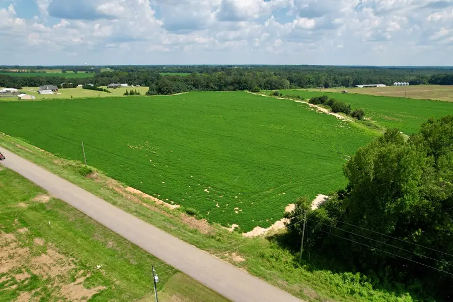 0 Judge Logue Road, Newton, AL 36352 - Image #2