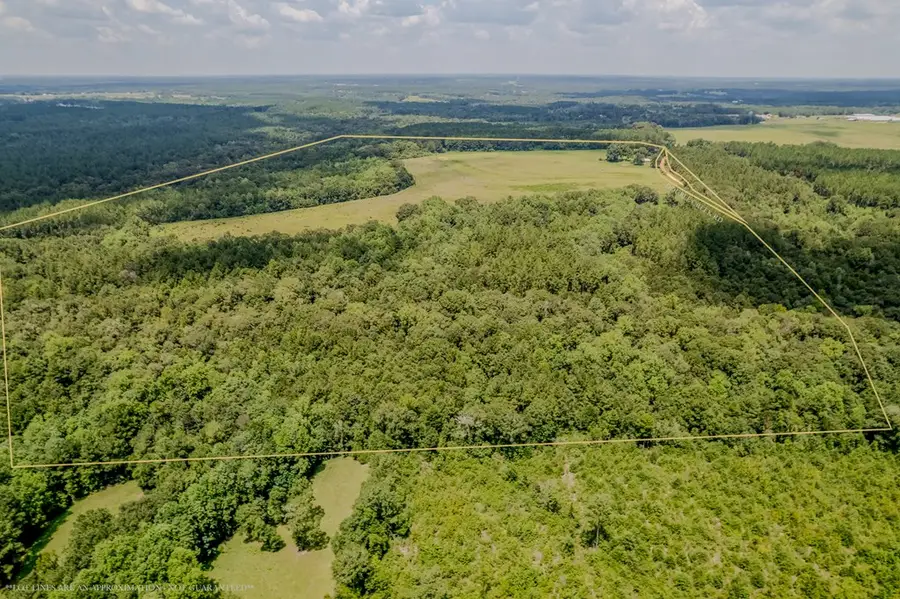 Address Withheld By Seller, Coffee Springs, AL 36318 - Image #2