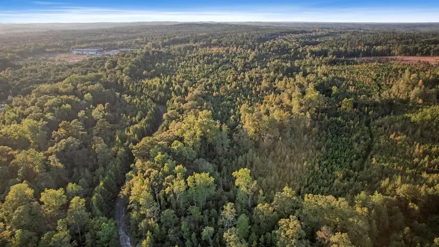 Address Withheld By Seller, Fort Gaines, GA 39851 - Image #2