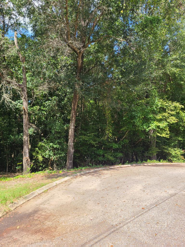 0 Alcuri Dr Lot 13, Ozark, AL 36360