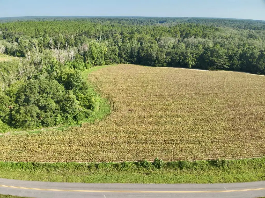 10.3 Acres Red Oak Road, Florala, AL 36442 - Image #1