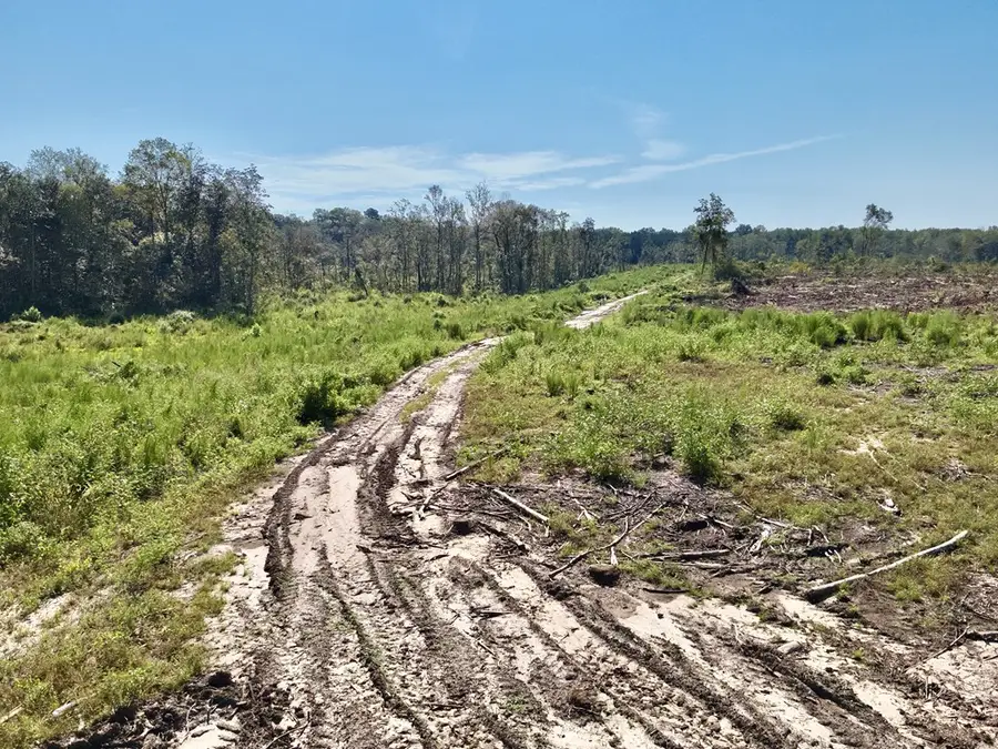 Address Withheld By Seller, Slocomb, AL 36375 - Image #2