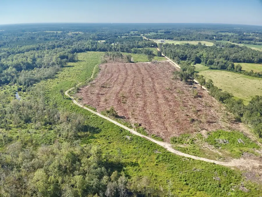 Address Withheld By Seller, Slocomb, AL 36375 - Image #3