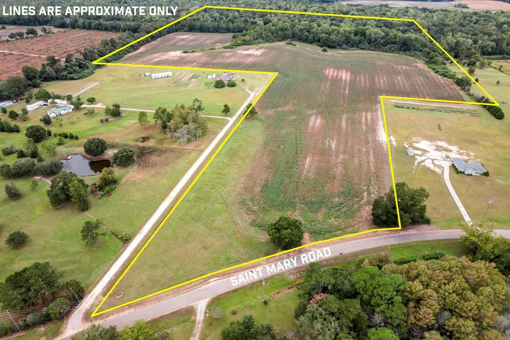 0 St. Mary Road, Cottonwood, AL 36320 - Image #1