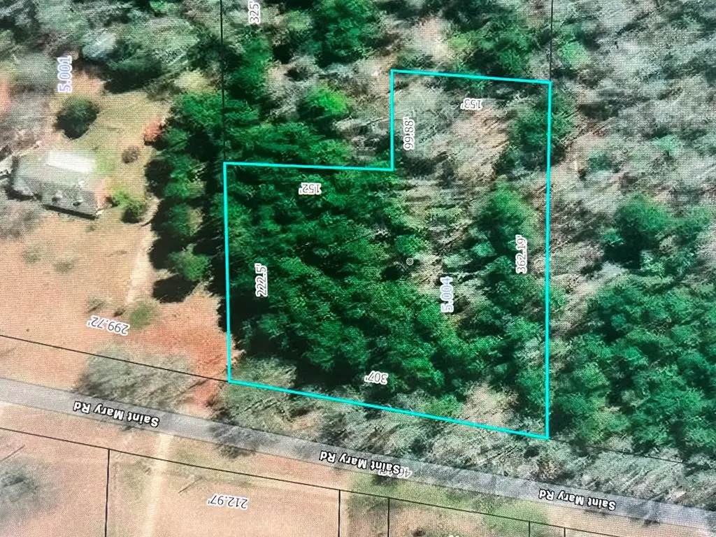 765 St. Mary Road, Cottonwood, AL 36320 - Image #1