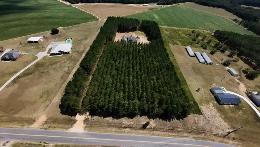 2236 Roney Road, Kinsey, AL 36303 - Image #3