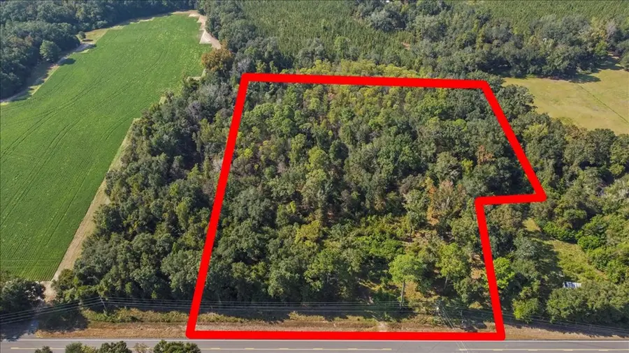 0 Cottonwood Road, Cottonwood, AL 36320 - Image #2