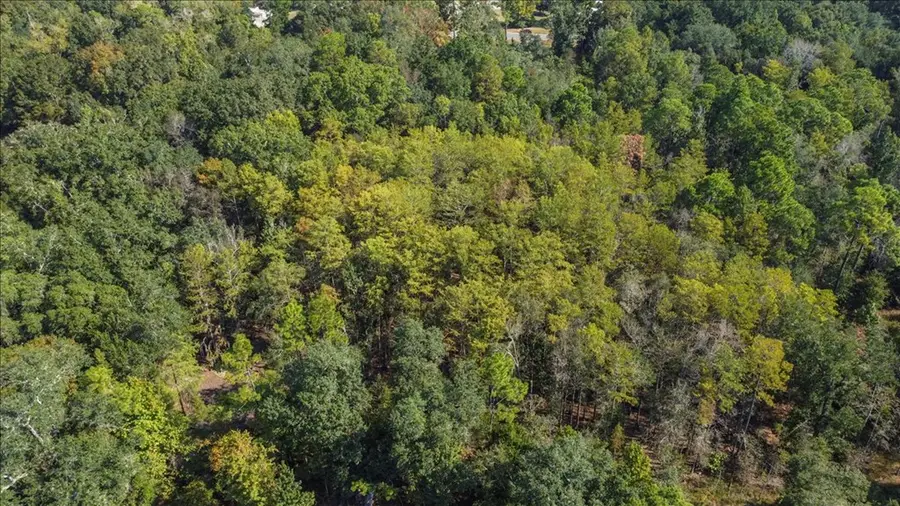 0 Cottonwood Road, Cottonwood, AL 36320 - Image #3