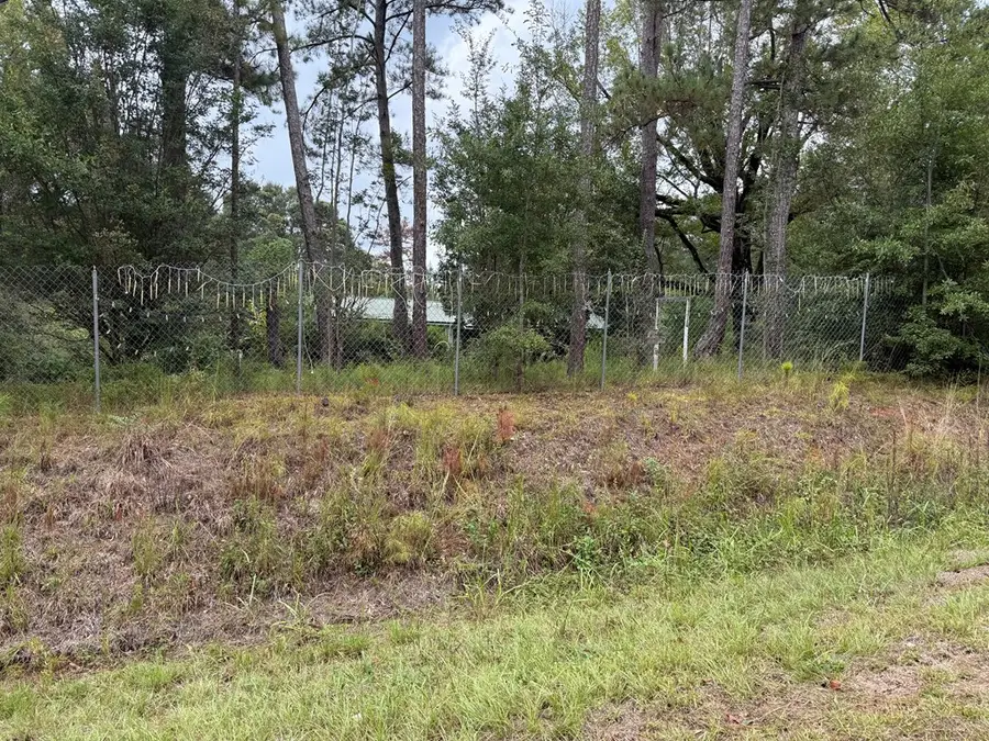 783 Co Shop Rd, Clayton, AL 36016 - Image #2