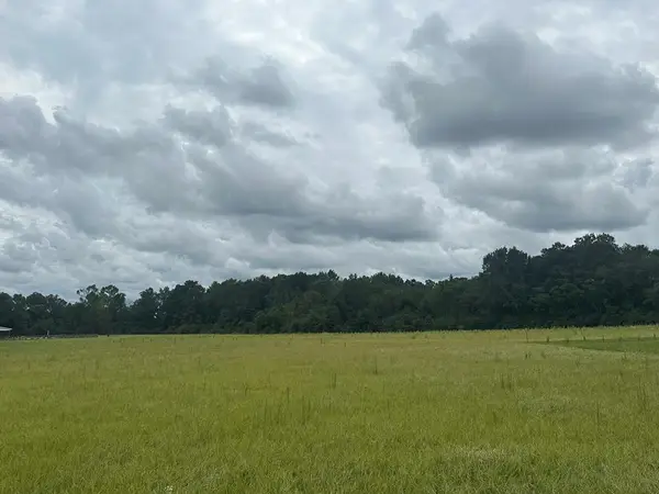 Lot 1 Hadden Road, Dothan, AL 36301
