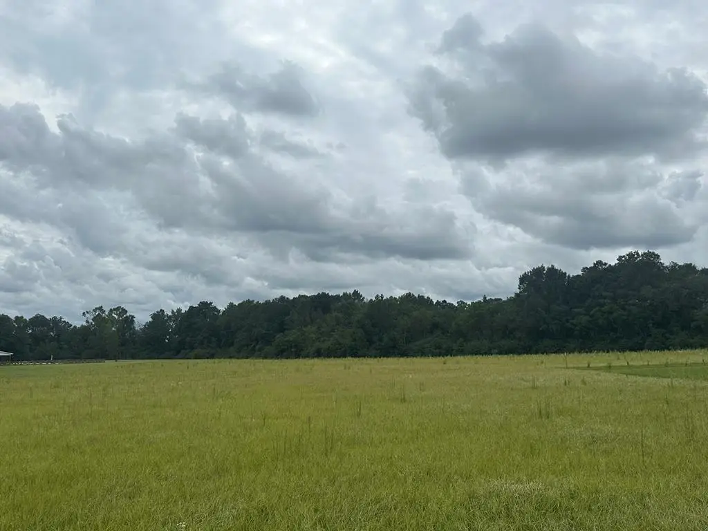 Lot 2 Hadden Road, Dothan, AL 36301 - Image #1