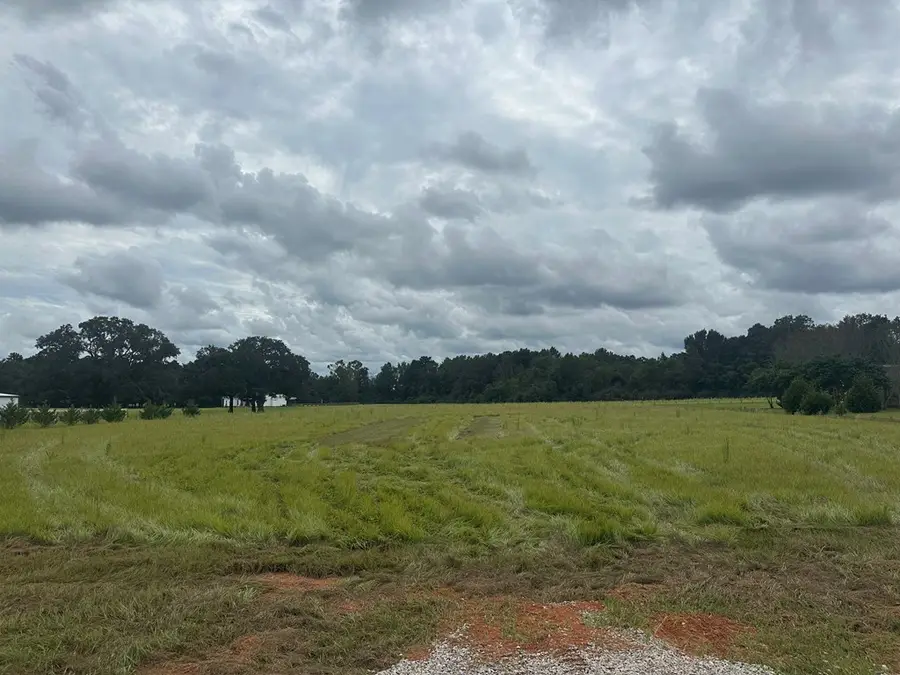 Lot 2 Hadden Road, Dothan, AL 36301 - Image #2