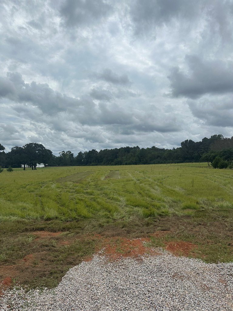 Lot 2 Hadden Road, Dothan, AL 36301 - Image #3