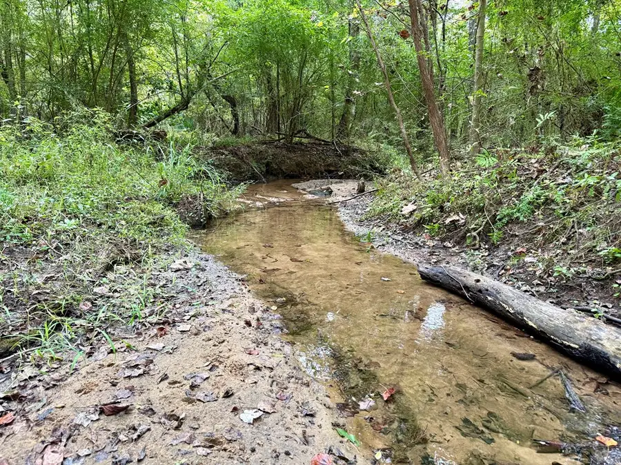 49+/- Acres Mt Zion Road, Cottonwood, AL 36320 - Image #2