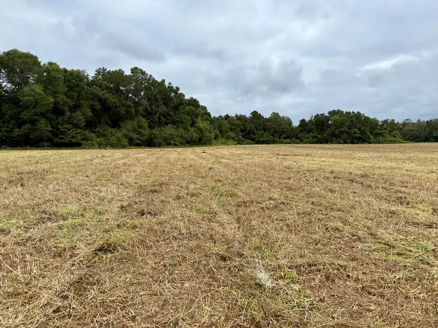 49+/- Acres Mt Zion Road, Cottonwood, AL 36320 - Image #3