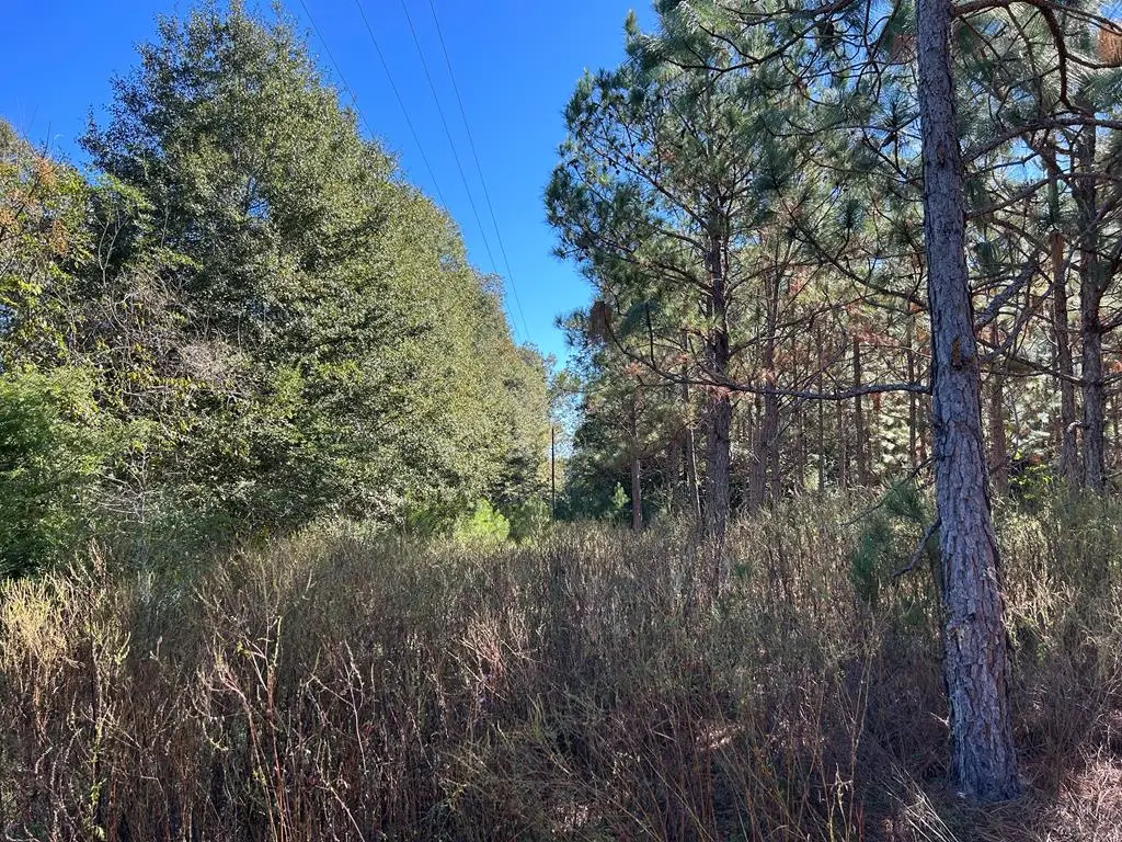 10 +-ac,Lot 1PL Cty Rd 140/ Cty Rd 141, Headland, AL 36345 - Image #1