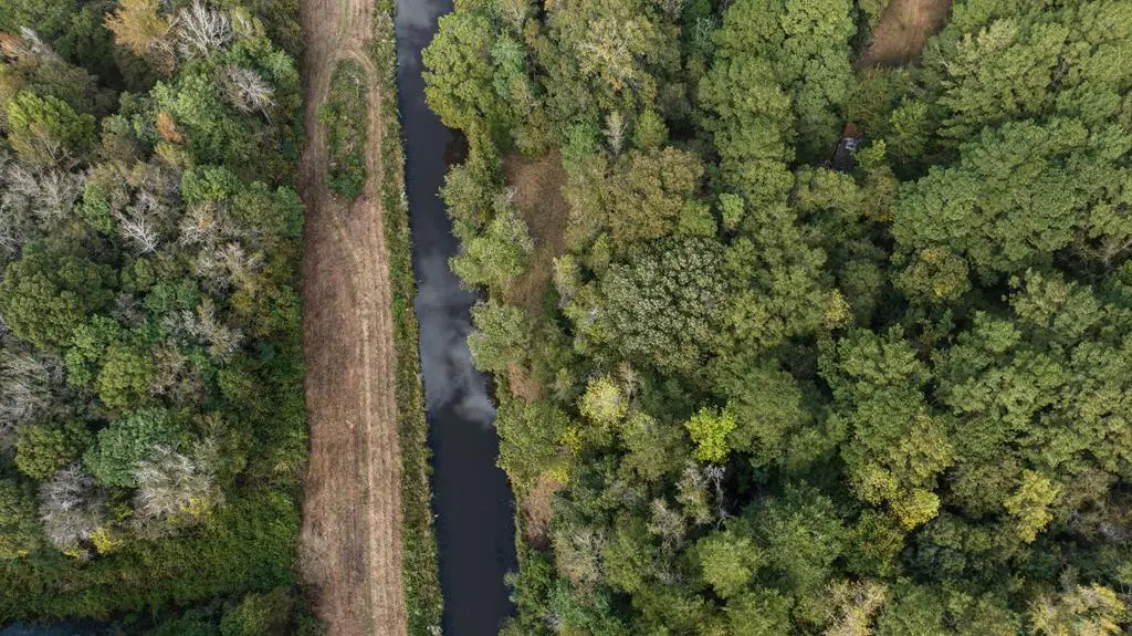 0 Co Rd 53, Hanover, AL 36319 - Image #1