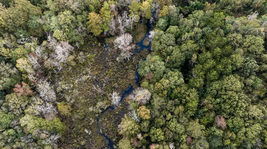 0 Co Rd 53, Hanover, AL 36319 - Image #3