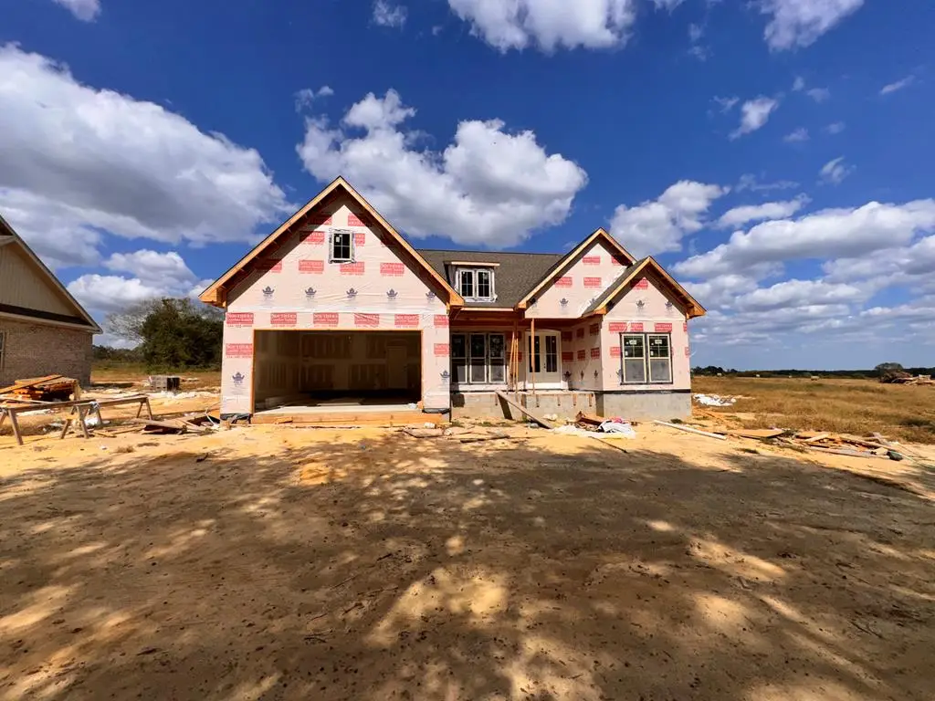 783 Bruner Mill Raod, Ashford, AL 36312 - Image #1