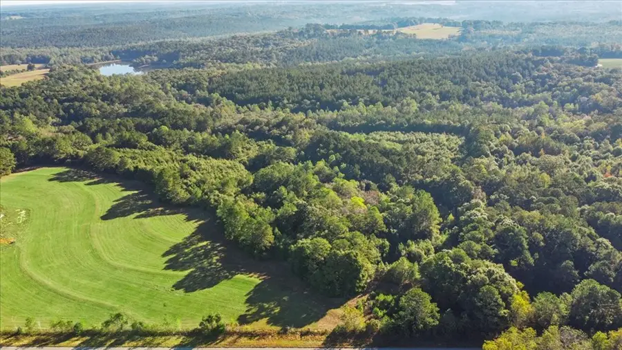 1770 County Rd 246, New Brockton, AL 36351 - Image #2