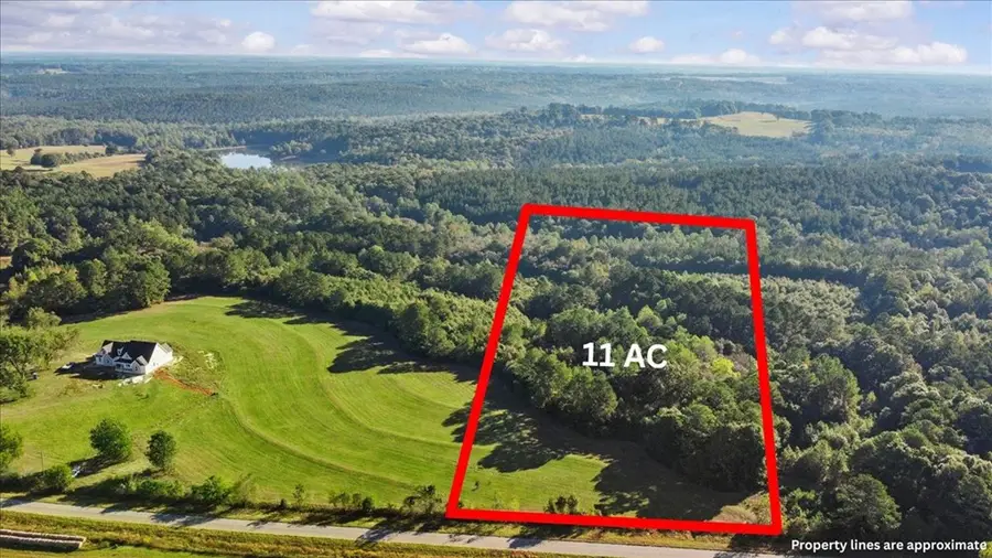 1770 County Rd 246, New Brockton, AL 36351 - Image #3