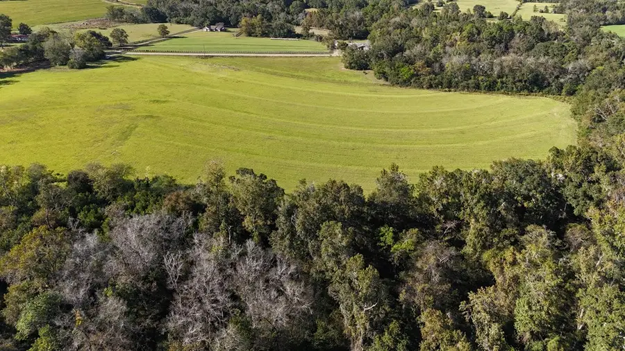 Lot 3 Battles Road, Ashford, AL 36312 - Image #3