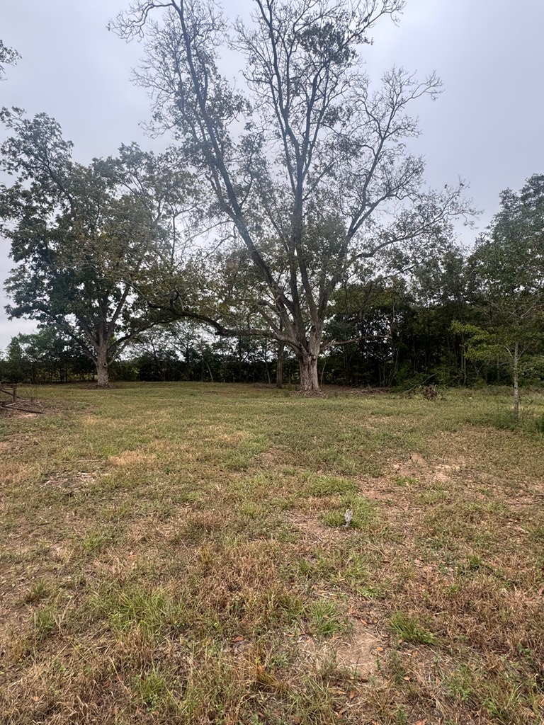 1252 County Road 165, Headland, AL 36345 - Image #2