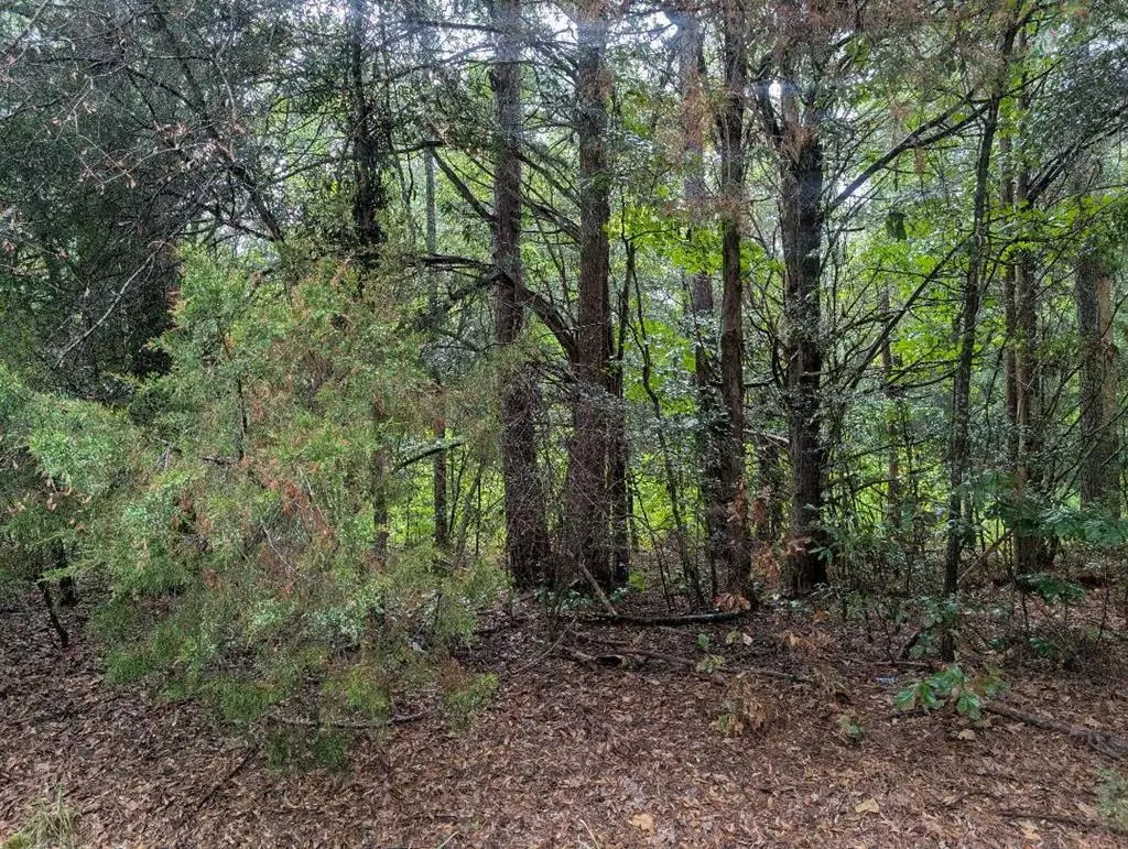 0 Hwy 43, Clayton, AL 36016 - Image #1