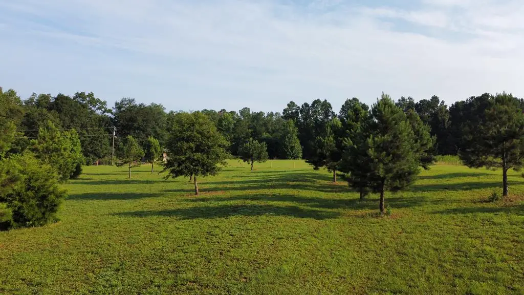 1001 Crawford Creek Rd, Cowarts, AL 36321 - Image #1
