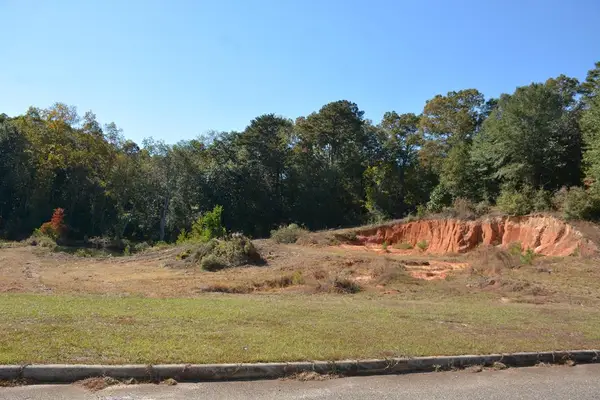 1.3 ac Cedar Grove Lane, Enterprise, AL 36330