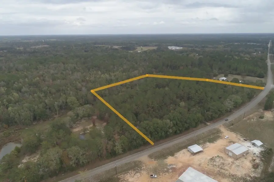 9.3 +/- Acres Airport Road, Andalusia, AL 36421 - Image #2