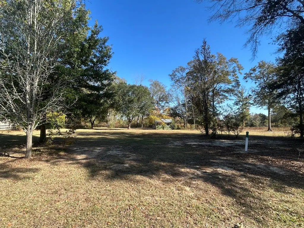 816 N Broad St, Cowarts, AL 36321 - Image #1