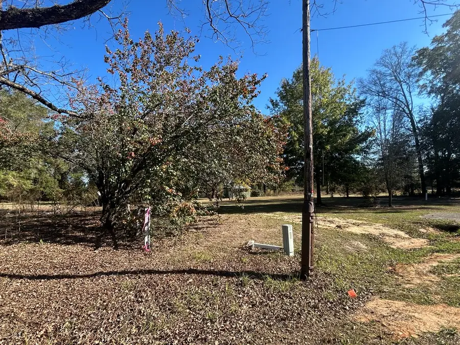 816 N Broad St, Cowarts, AL 36321 - Image #2