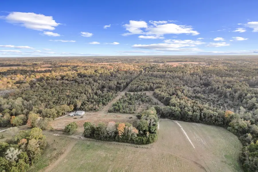 71.73 acres County Rd 203, Dothan, AL 36301 - Image #3