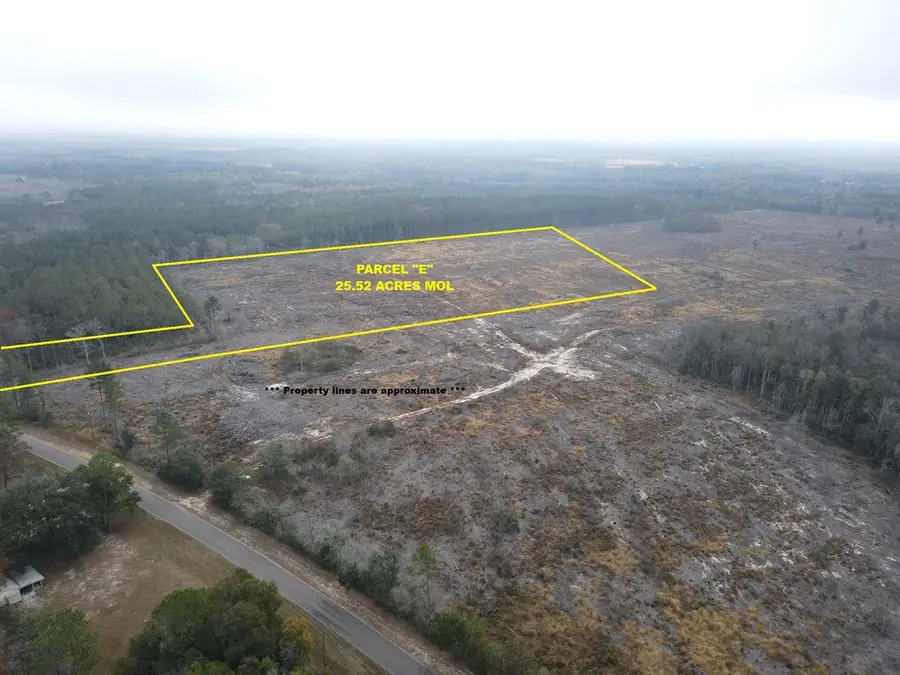 25 acres Goat Hill Rd., Samson, AL 36477 - Image #2