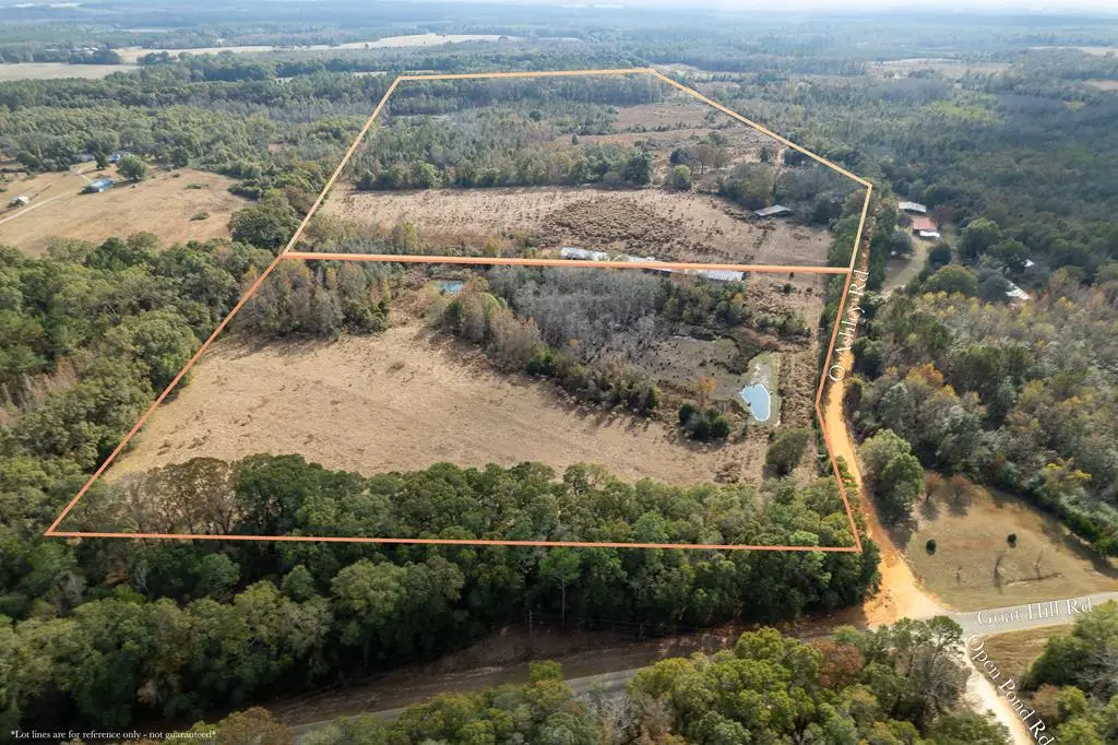 311 O Ashely Road, Samson, AL 36477 - Image #1