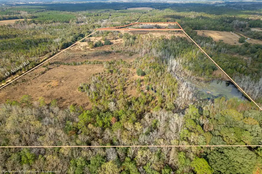 311 O Ashely Road, Samson, AL 36477 - Image #3