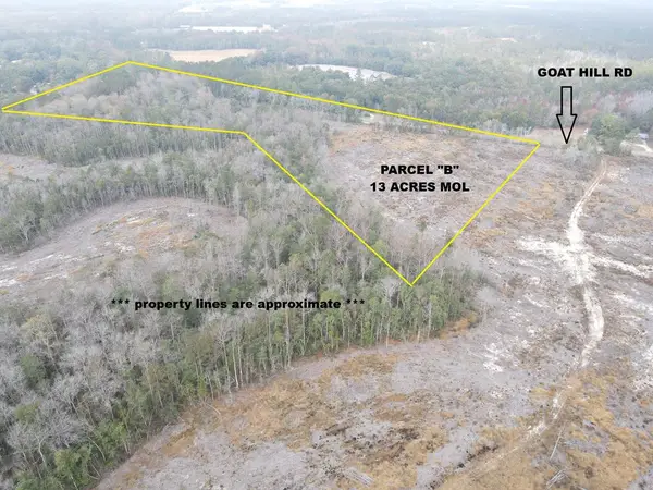 13 Acres Goat Hill Rd., Samson, AL 36477